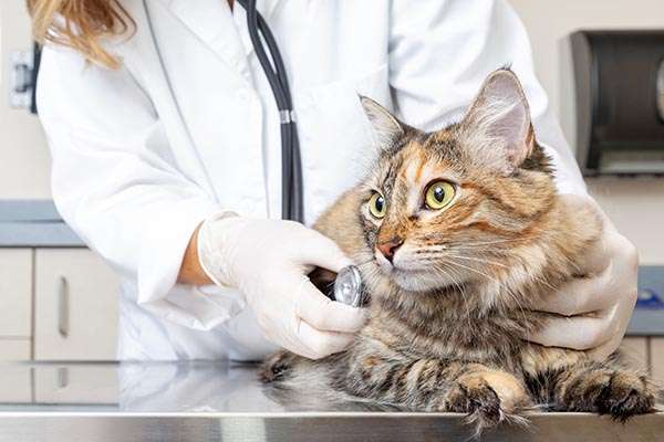 comparison tools - free home insurance quotes