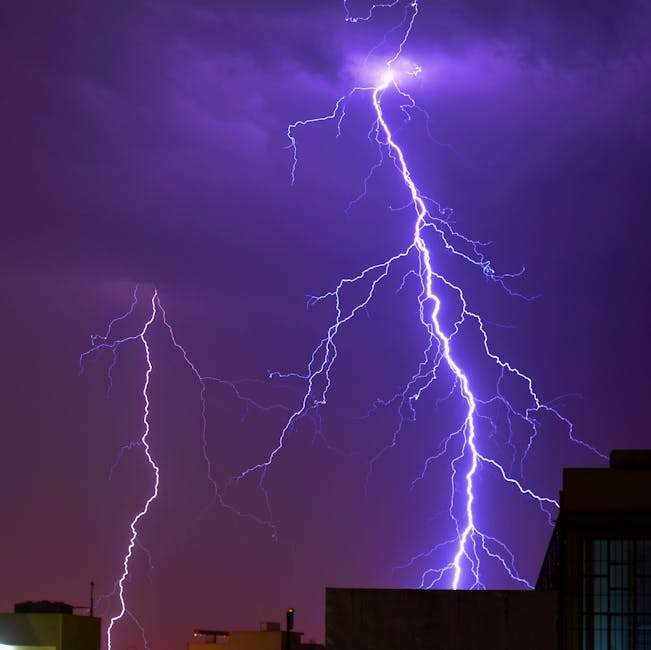 Miami home insurance companies