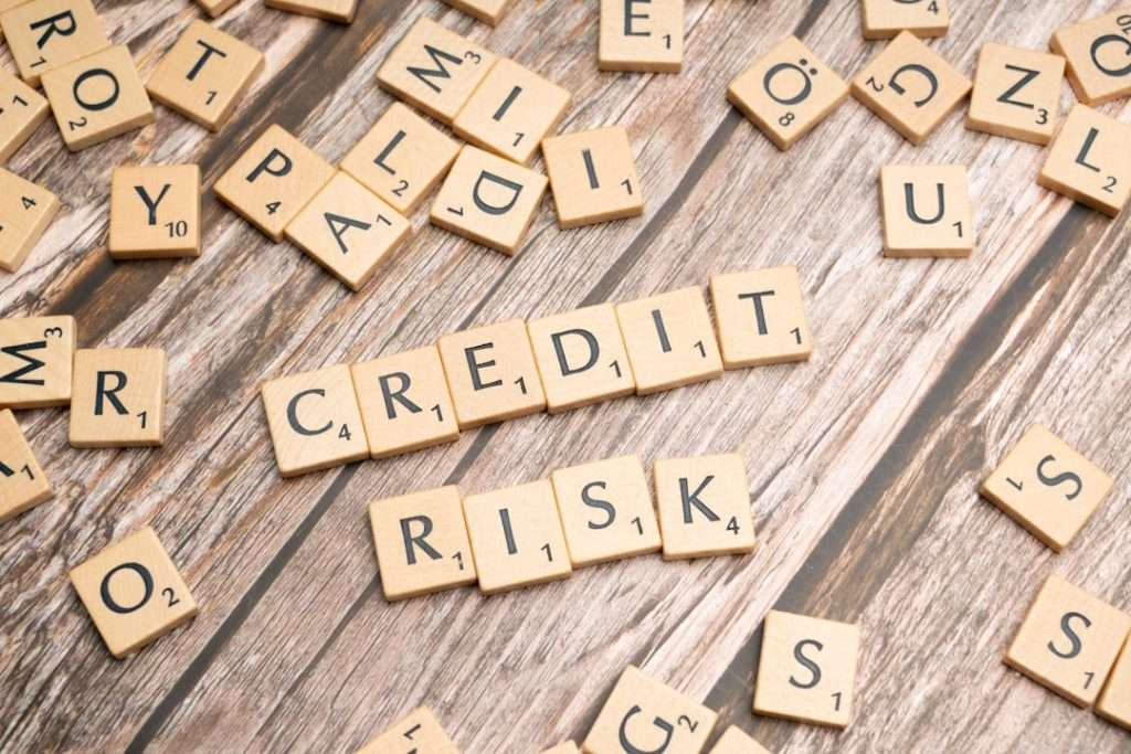 credit monitoring and insurance services