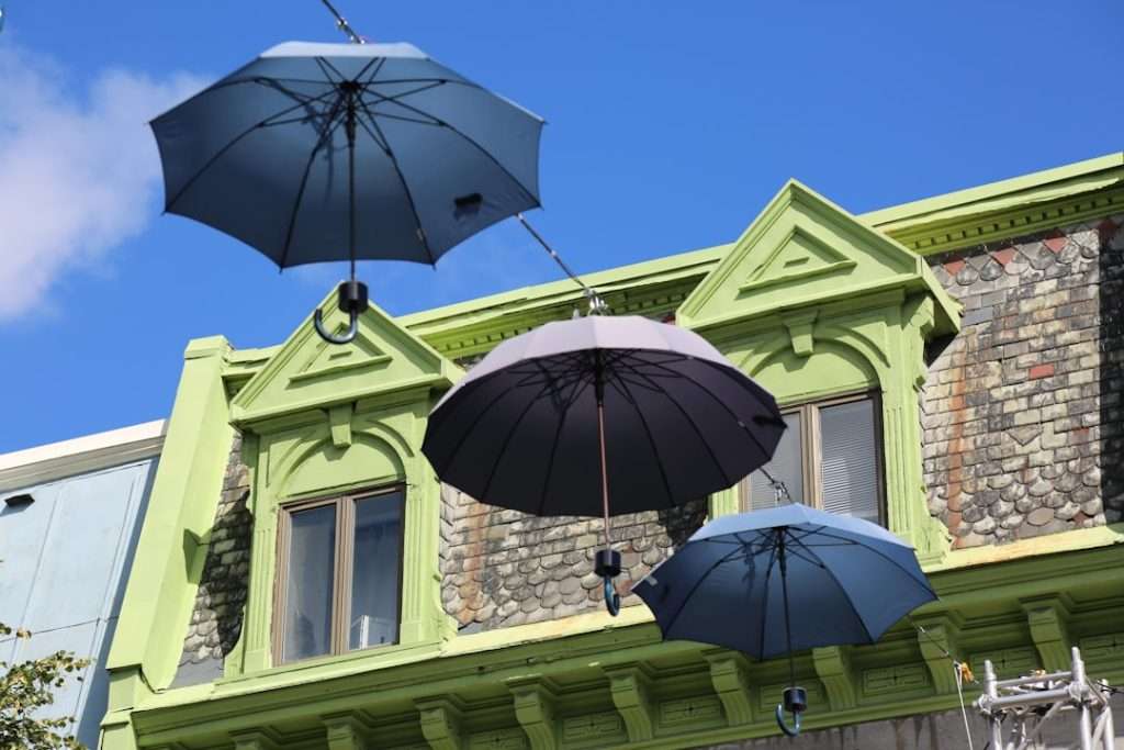 Umbrella policy homeowners