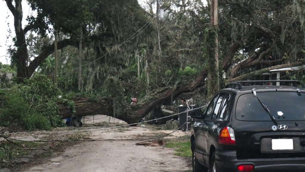 Florida windstorm insurance