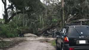 Florida windstorm insurance