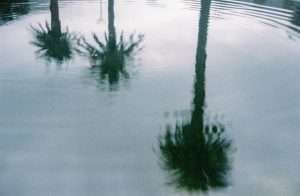 Miami flood insurance